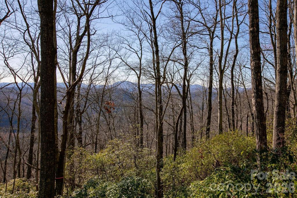 TBD Oak Ridge Road #17 - Photo 2