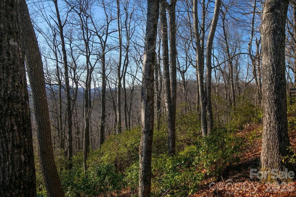TBD Oak Ridge Road #17 - Photo 4
