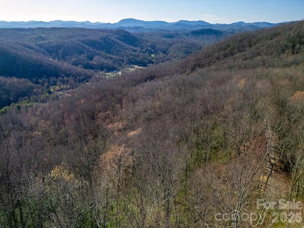 TBD Oak Ridge Road #17 - Photo 5