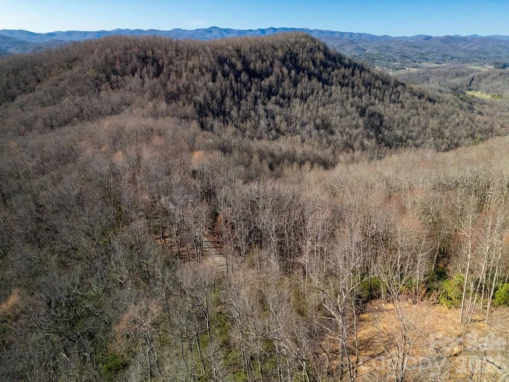 TBD Oak Ridge Road #17 - Photo 7