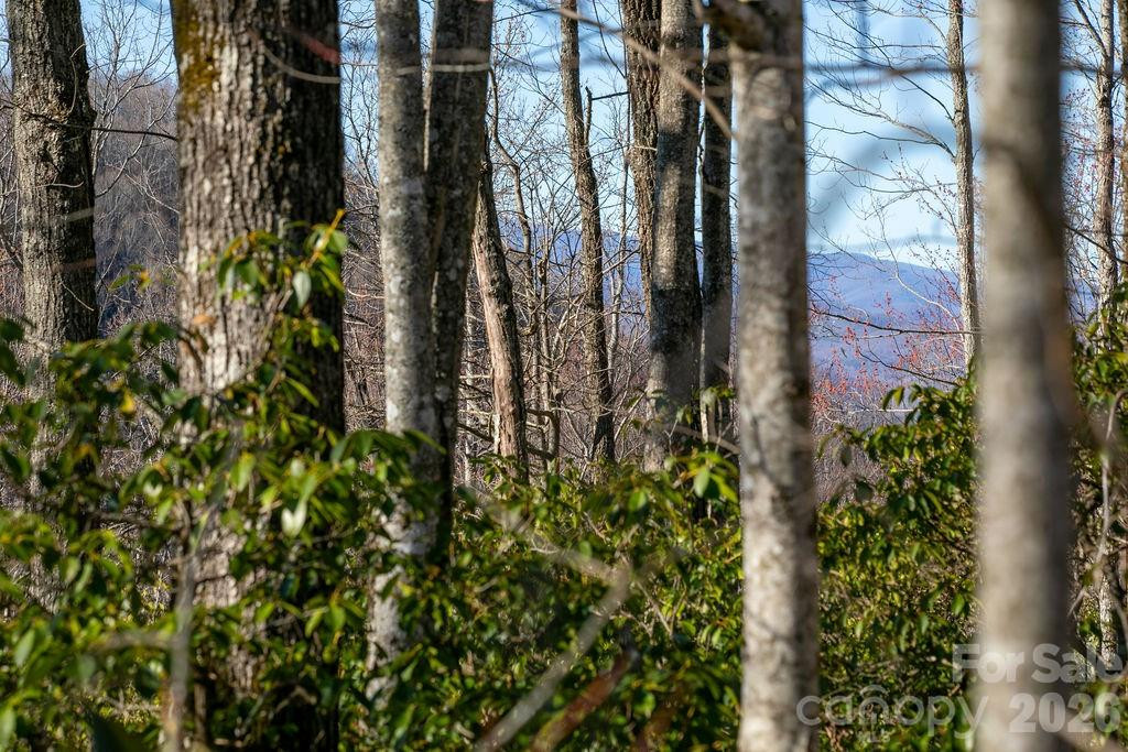 TBD Oak Ridge Road #17 - Photo 9