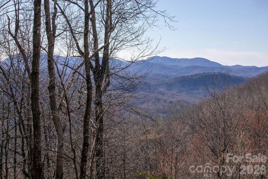 TBD Oak Ridge Road #17 - Photo 10