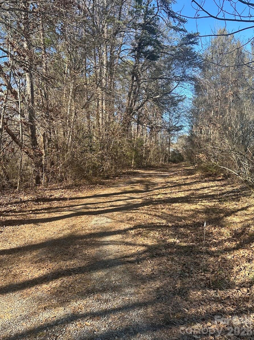 0 Clarence Towery Circle - Photo 11