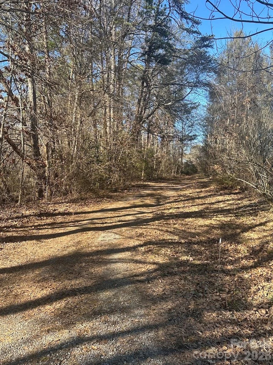 0 Clarence Towery Circle - Photo 11
