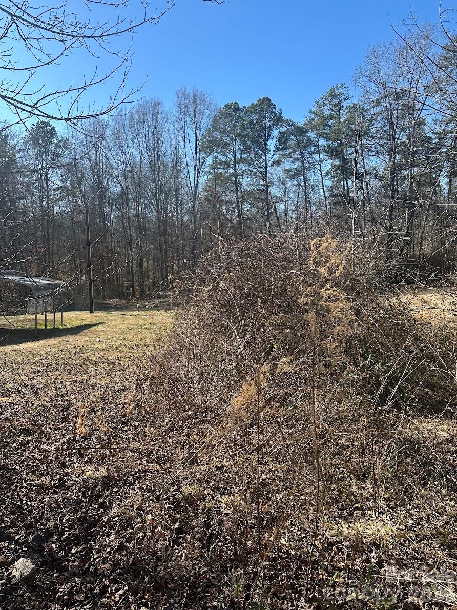 0 Clarence Towery Circle - Photo 5