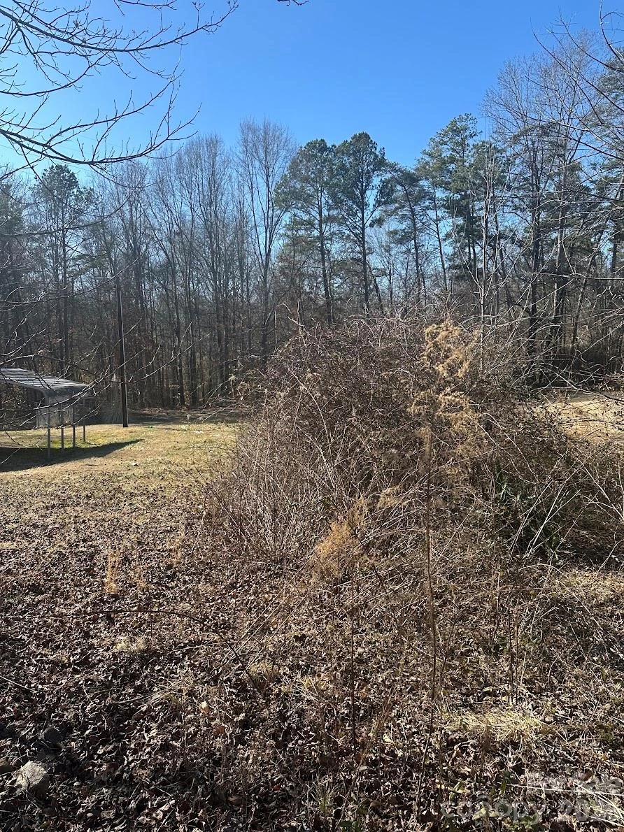 0 Clarence Towery Circle - Photo 5