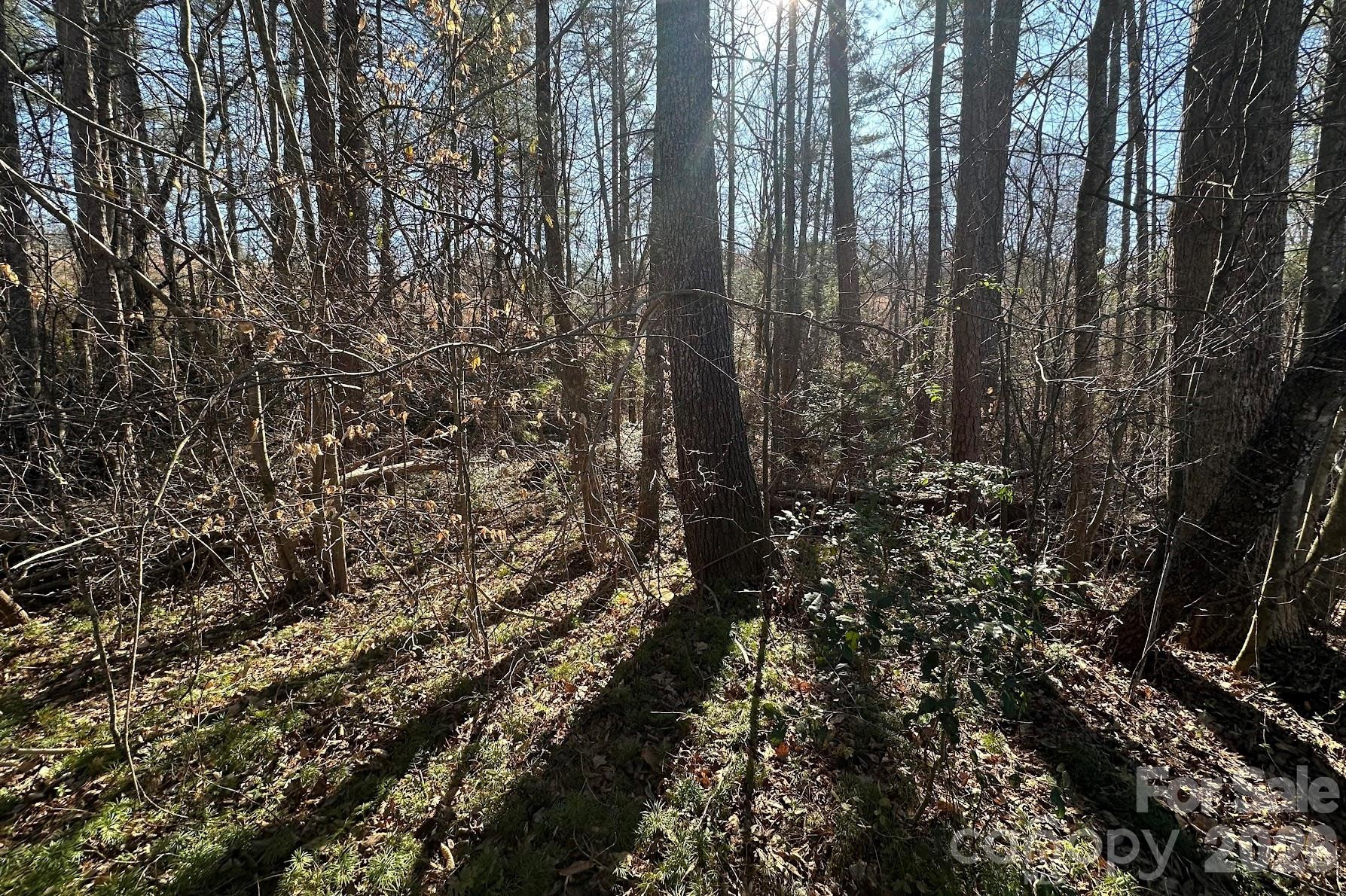 0 Clarence Towery Circle - Photo 6