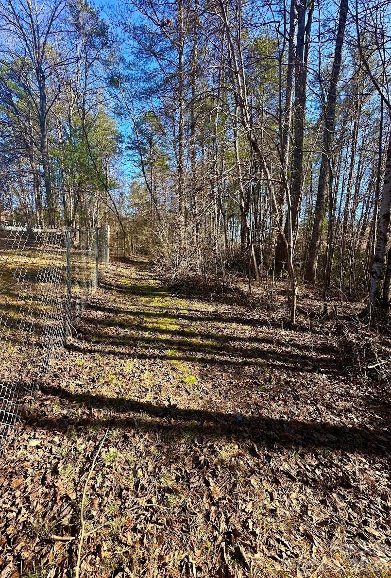 0 Clarence Towery Circle - Photo 7