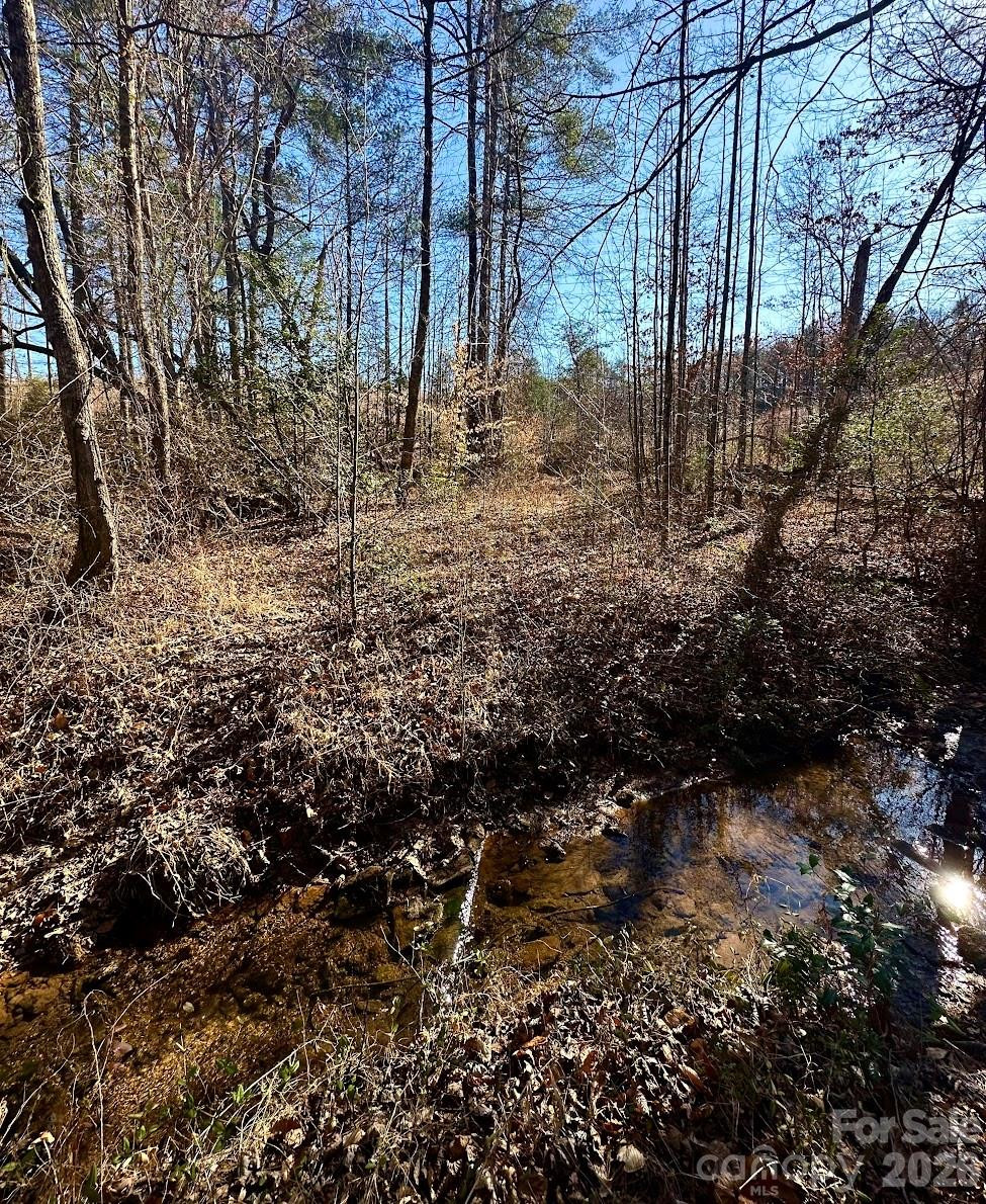 0 Clarence Towery Circle - Photo 8