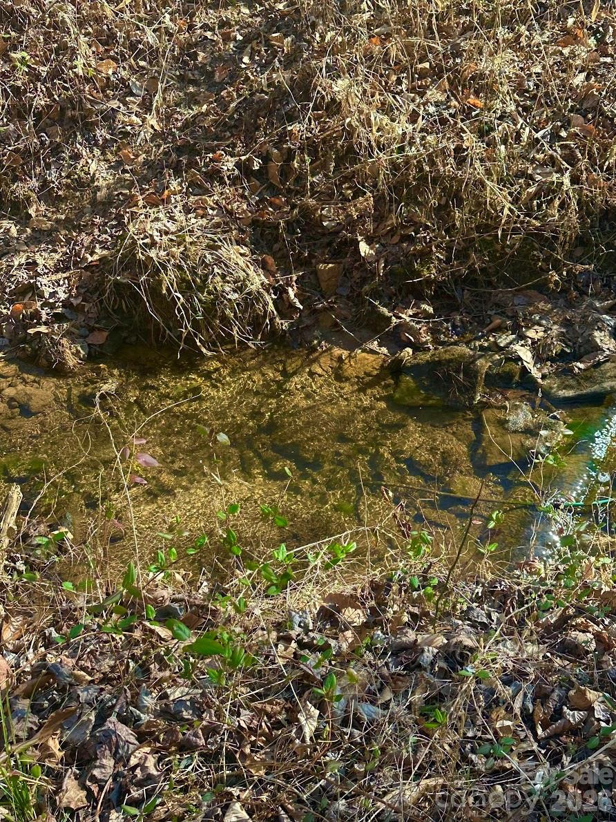 0 Clarence Towery Circle - Photo 9