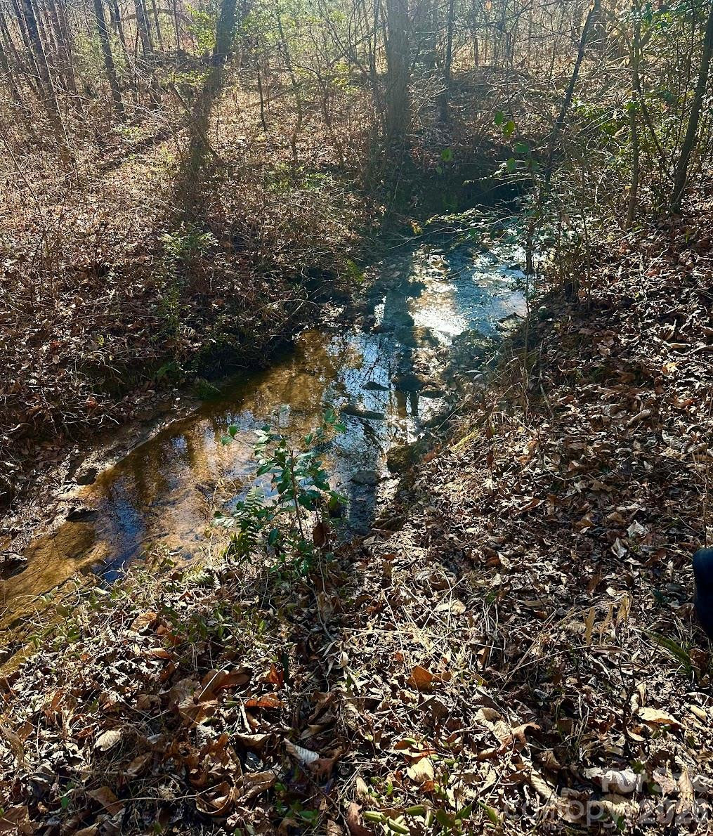 0 Clarence Towery Circle - Photo 10