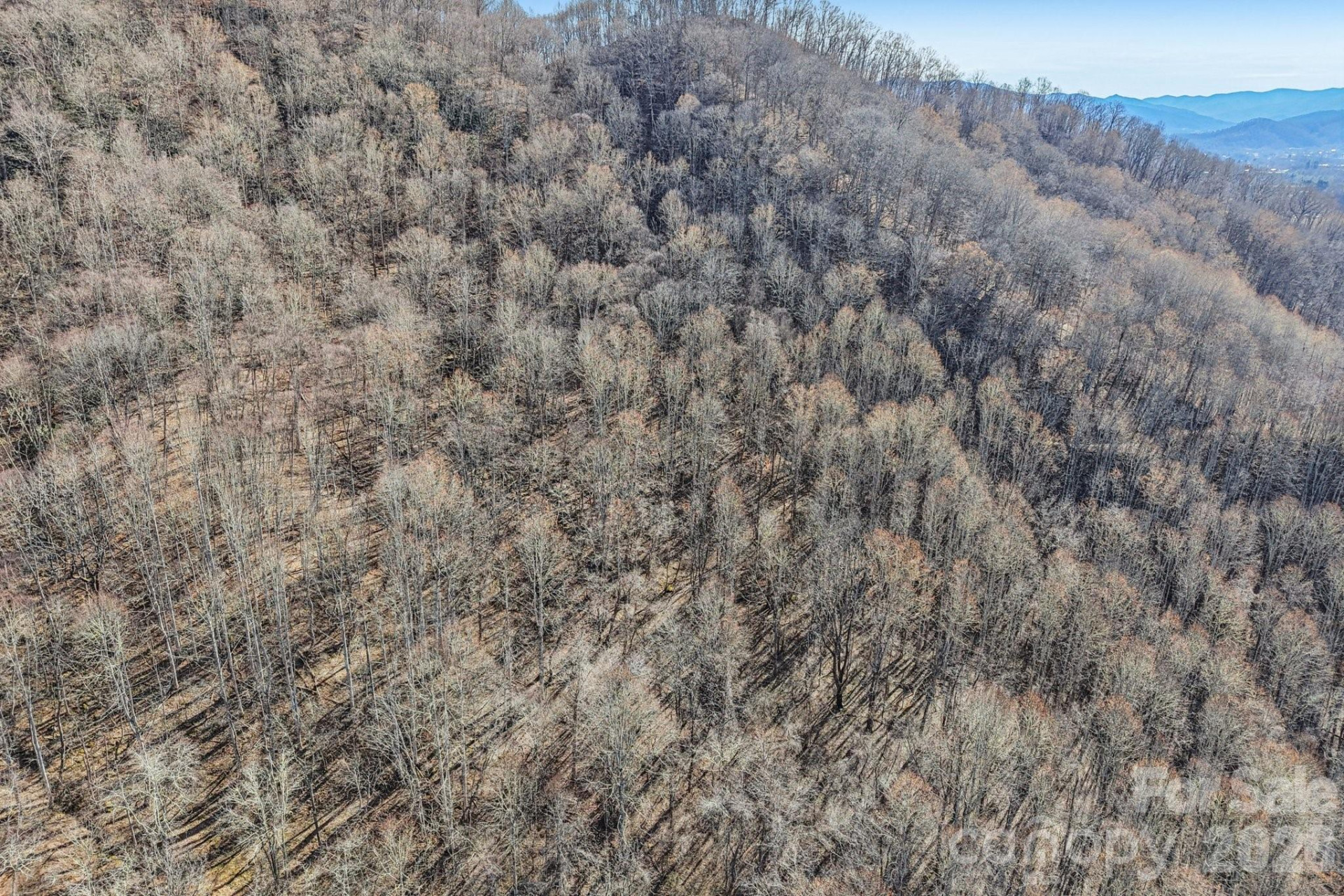 530 Wilson Cove Road - Photo 39