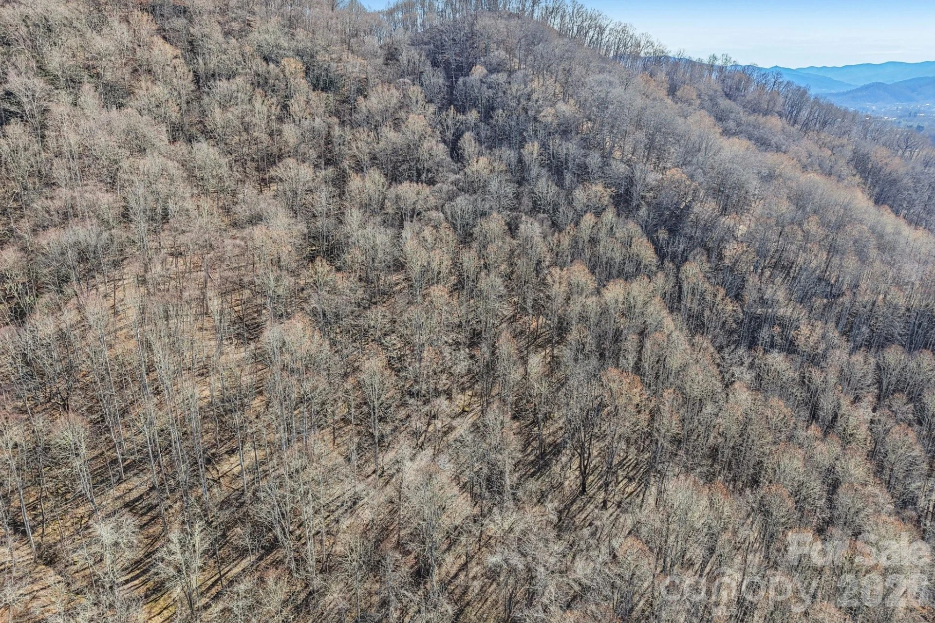 530 Wilson Cove Road - Photo 39