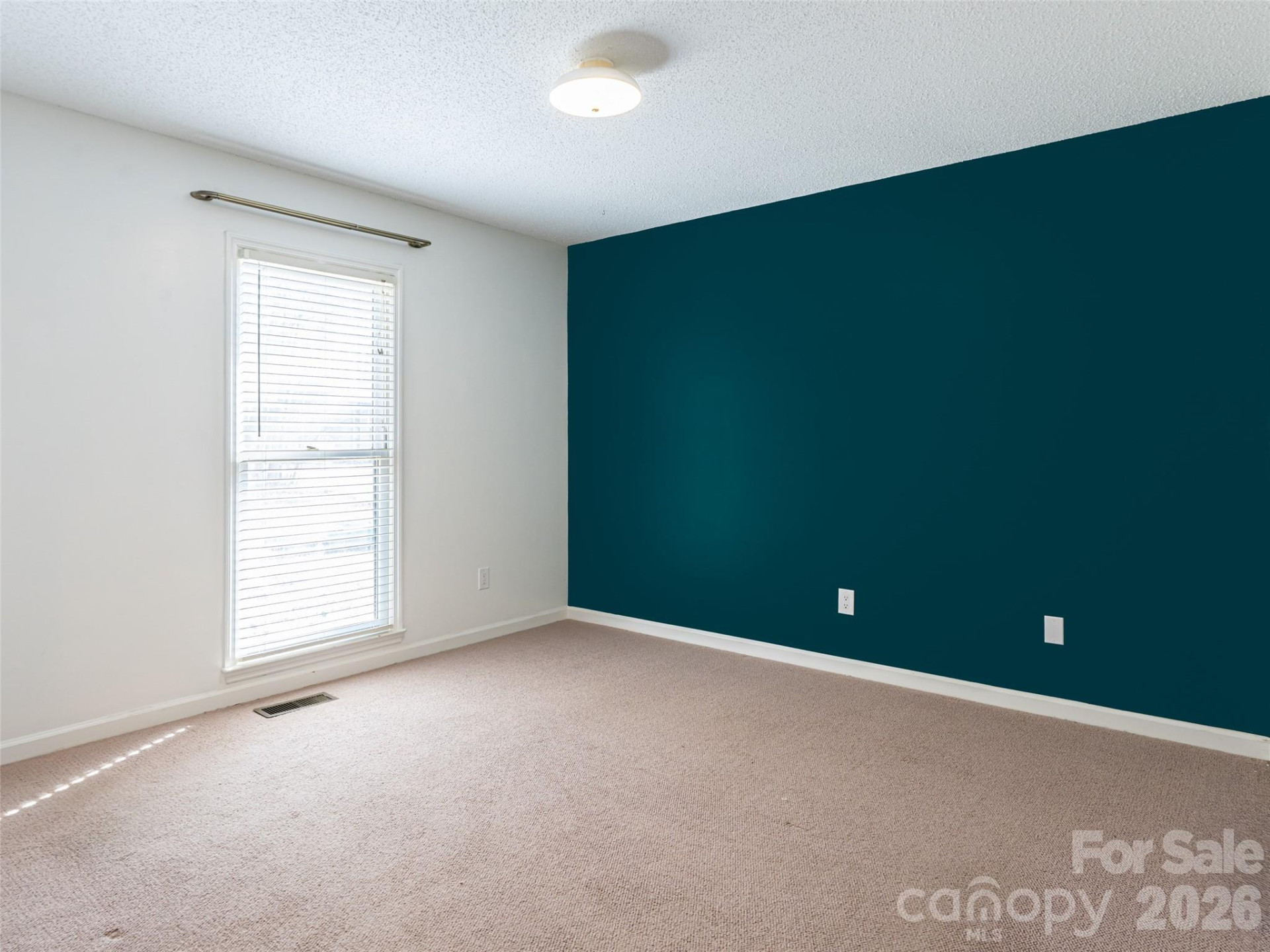 8 Turkey Toe Lane - Photo 21