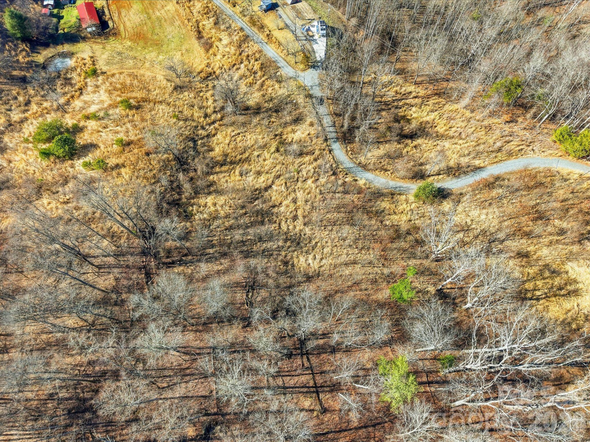 99999 Morgan Branch Road - Photo 11