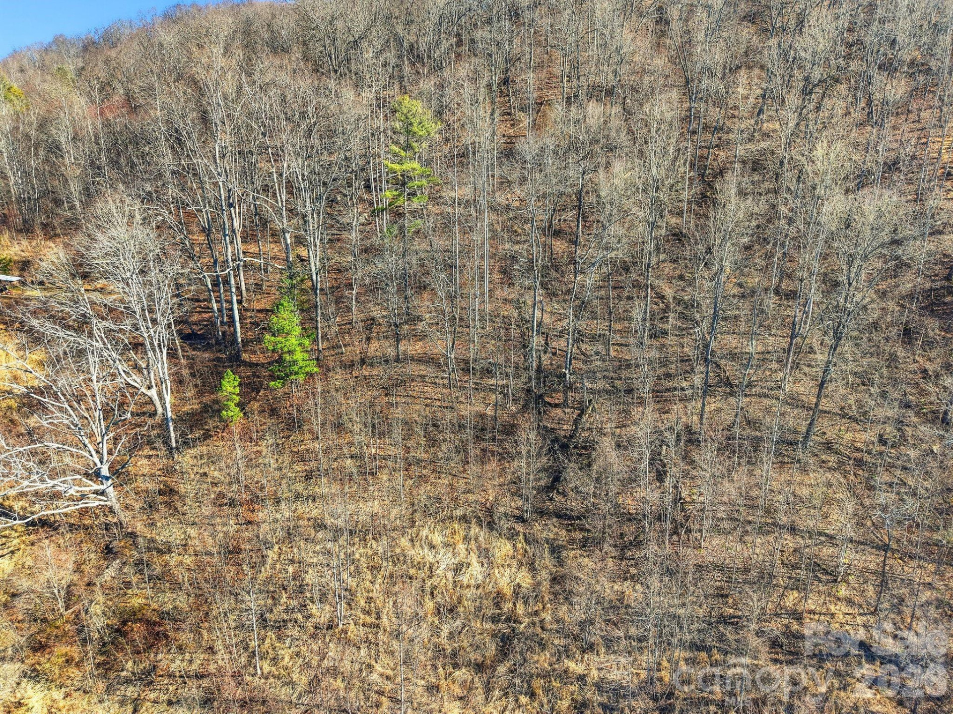 99999 Morgan Branch Road - Photo 12