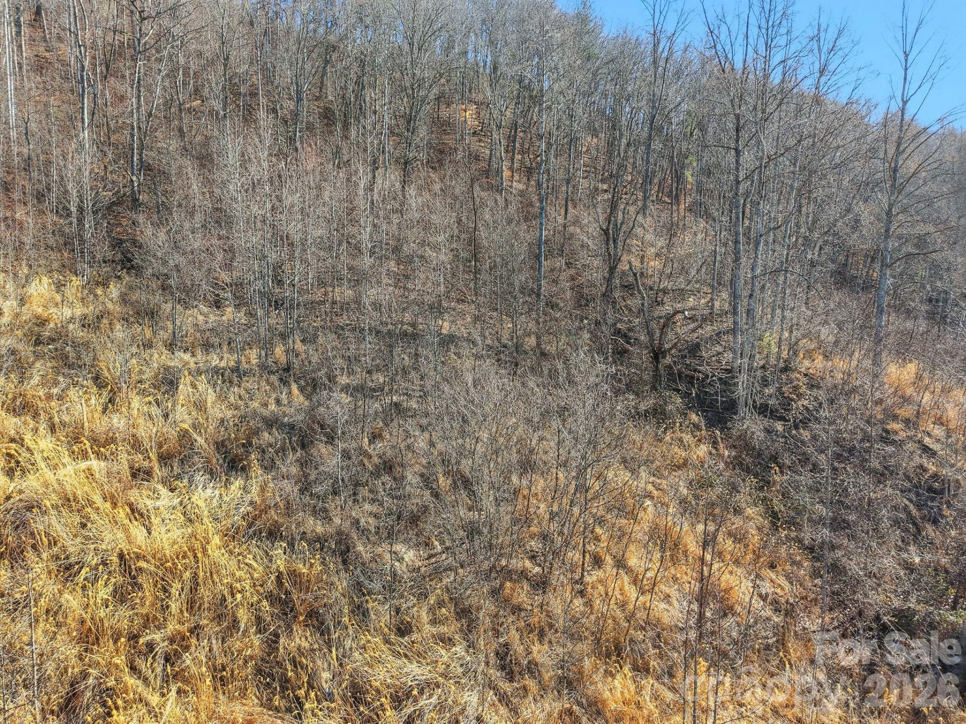 99999 Morgan Branch Road - Photo 13