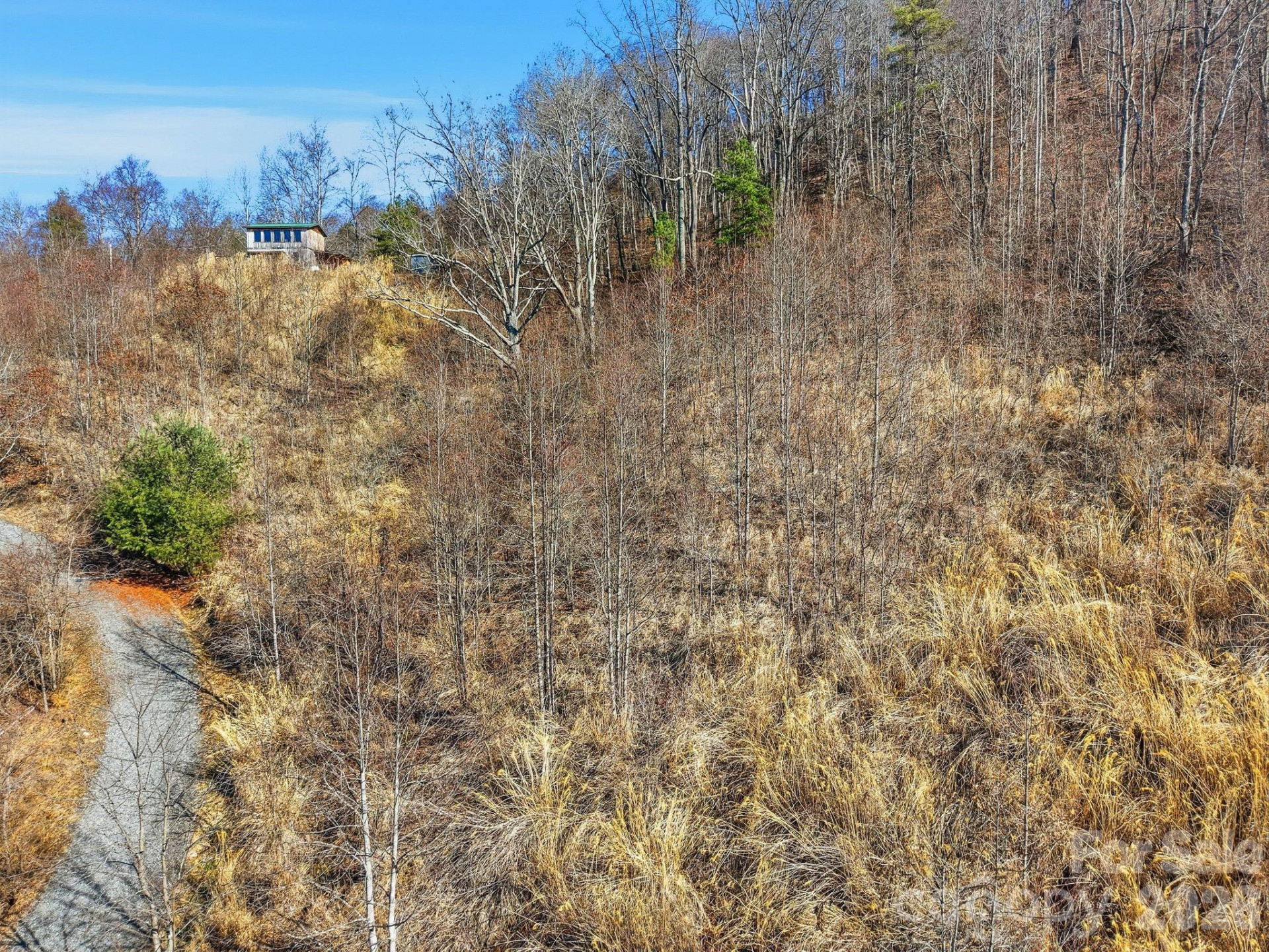 99999 Morgan Branch Road - Photo 14