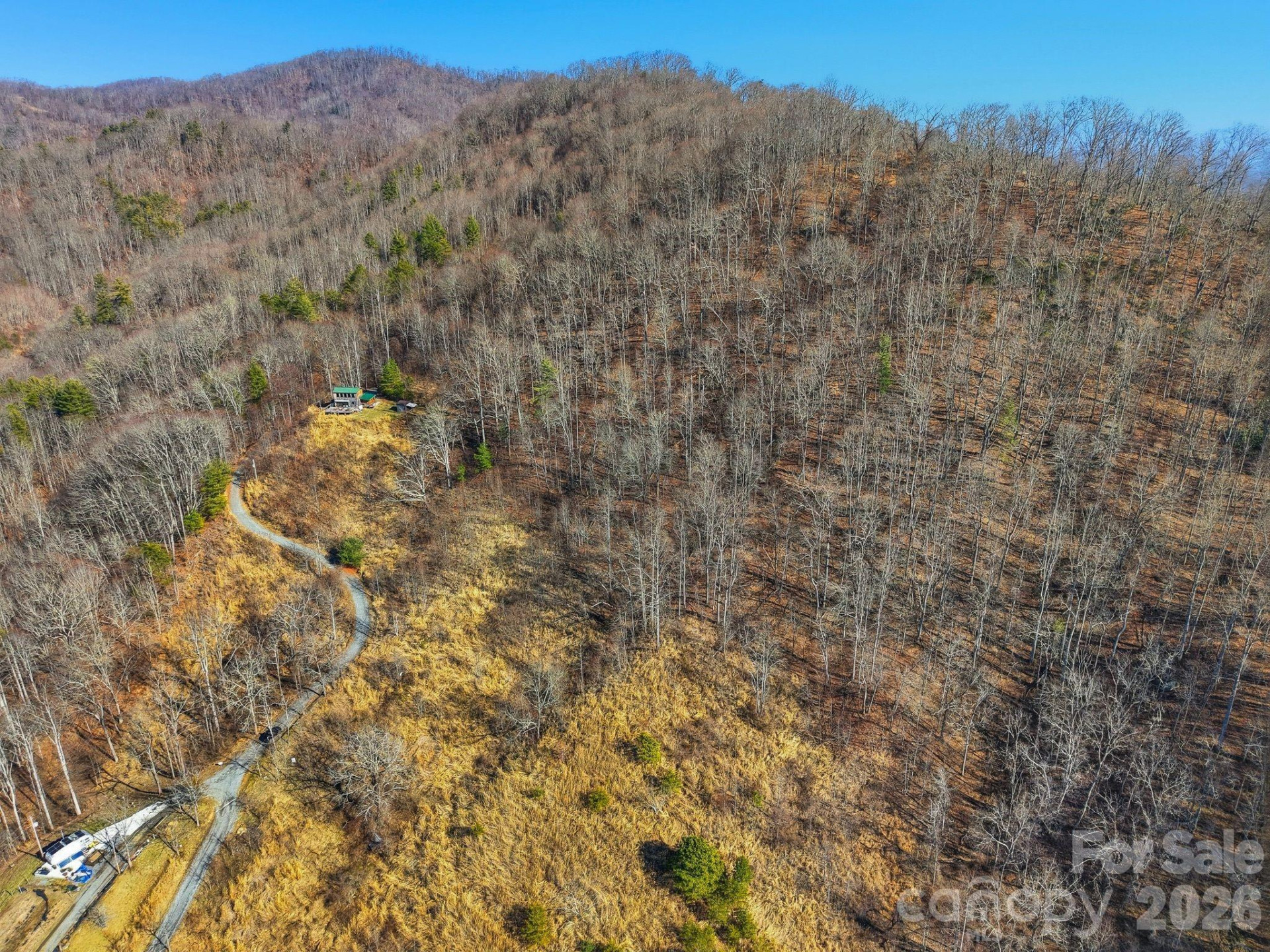 99999 Morgan Branch Road - Photo 5