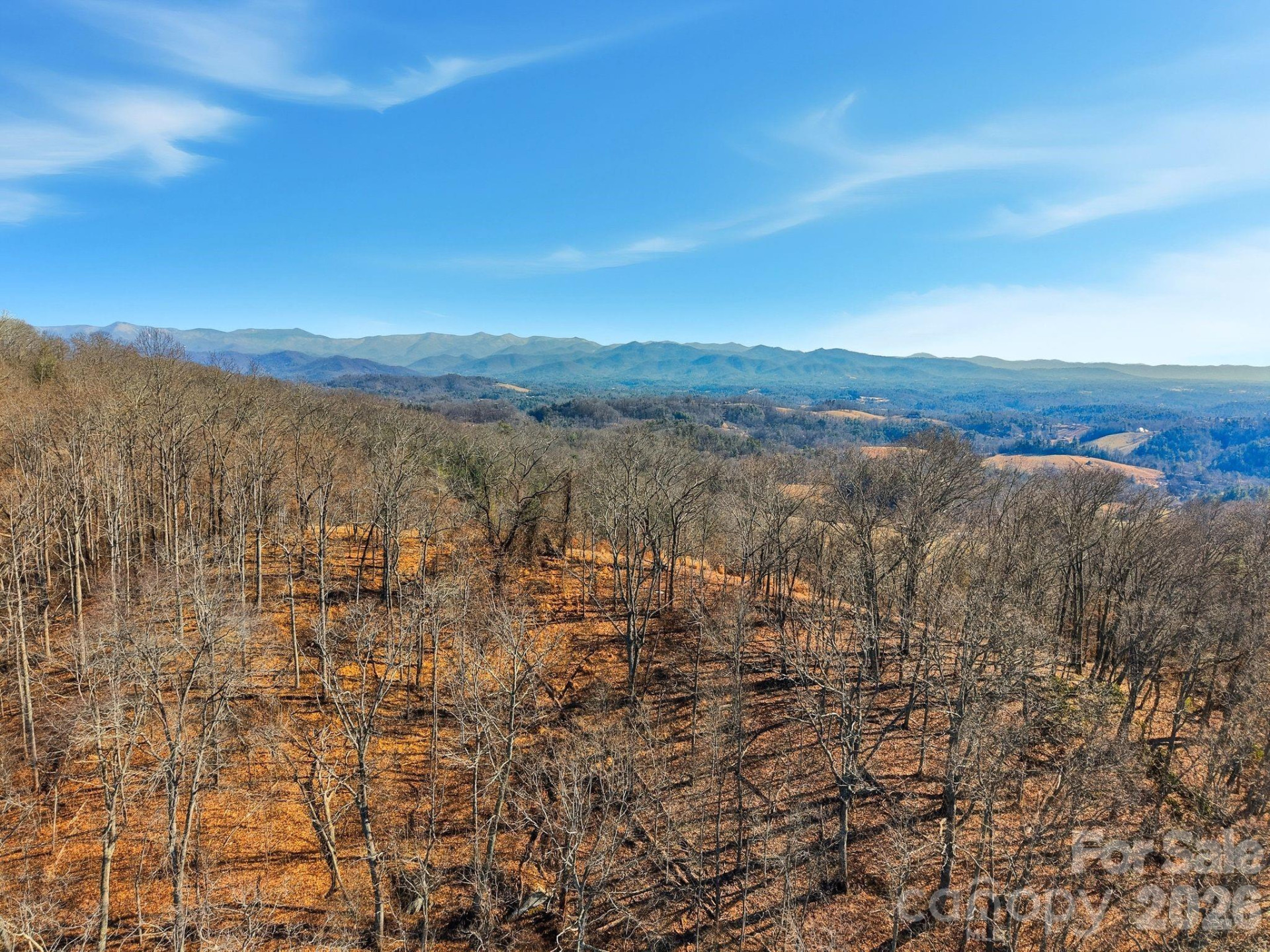 99999 Morgan Branch Road - Photo 6