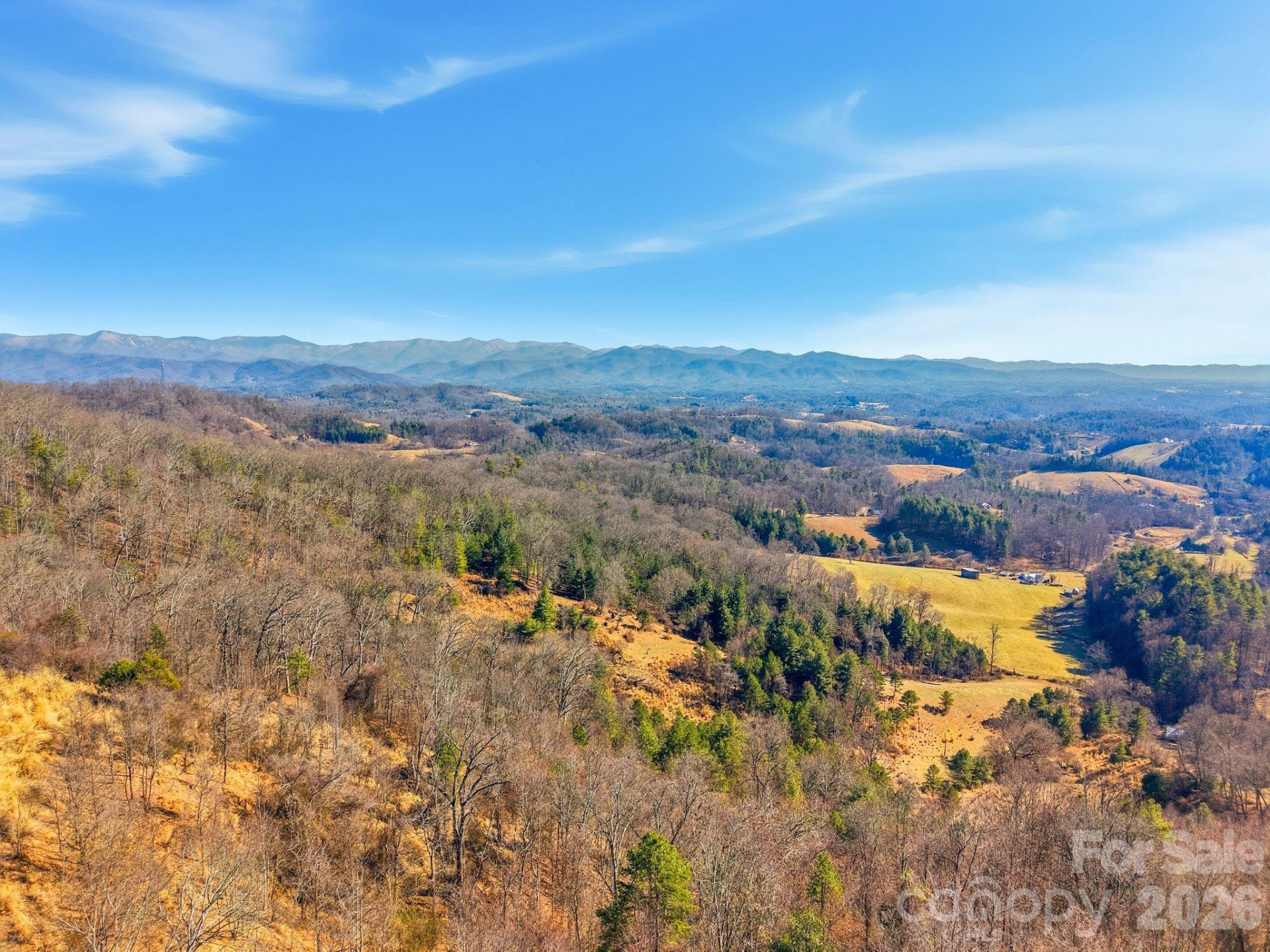 99999 Morgan Branch Road - Photo 7