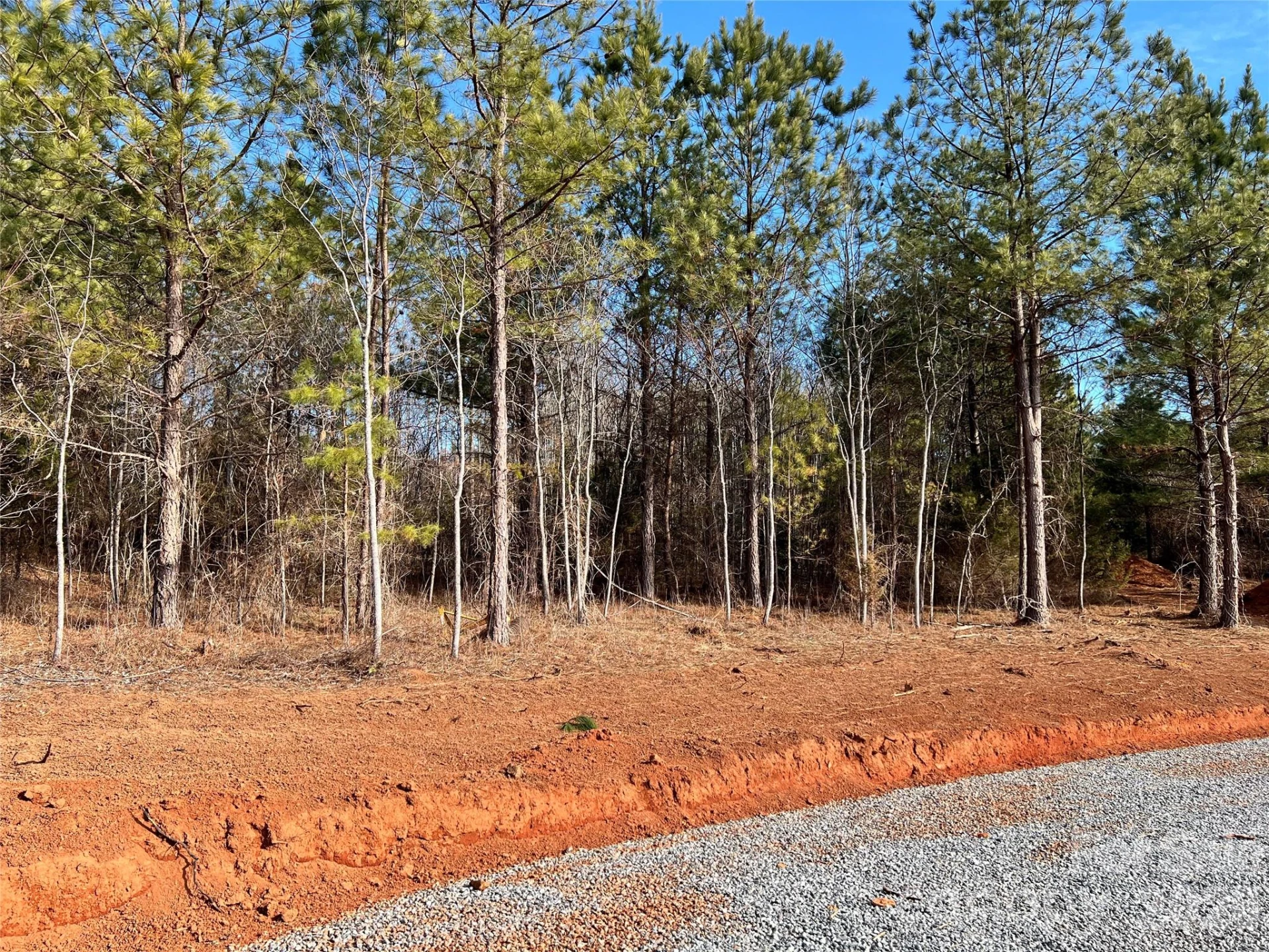 1229 Centennial Road - Photo 2