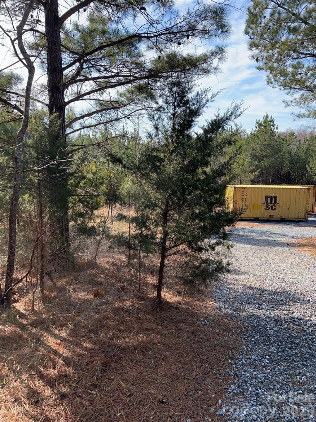 1229 Centennial Road - Photo 12