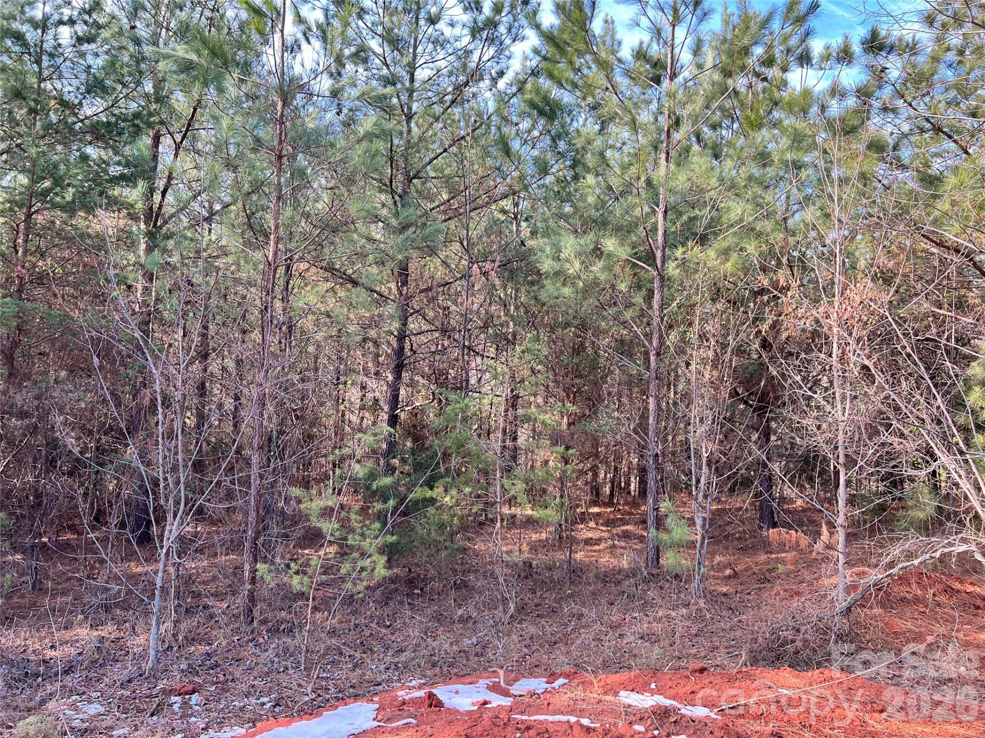 1229 Centennial Road - Photo 5