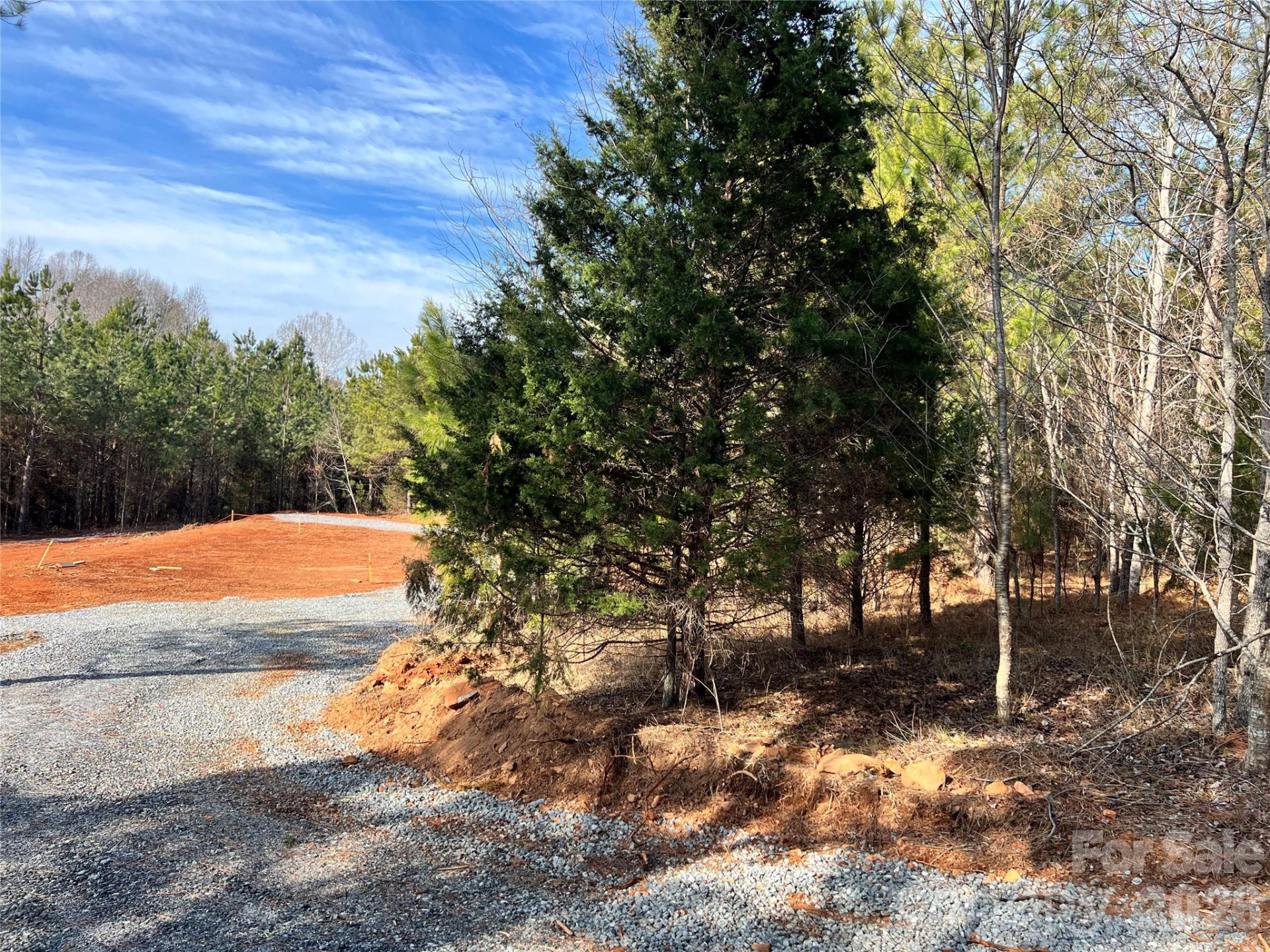 1229 Centennial Road - Photo 10