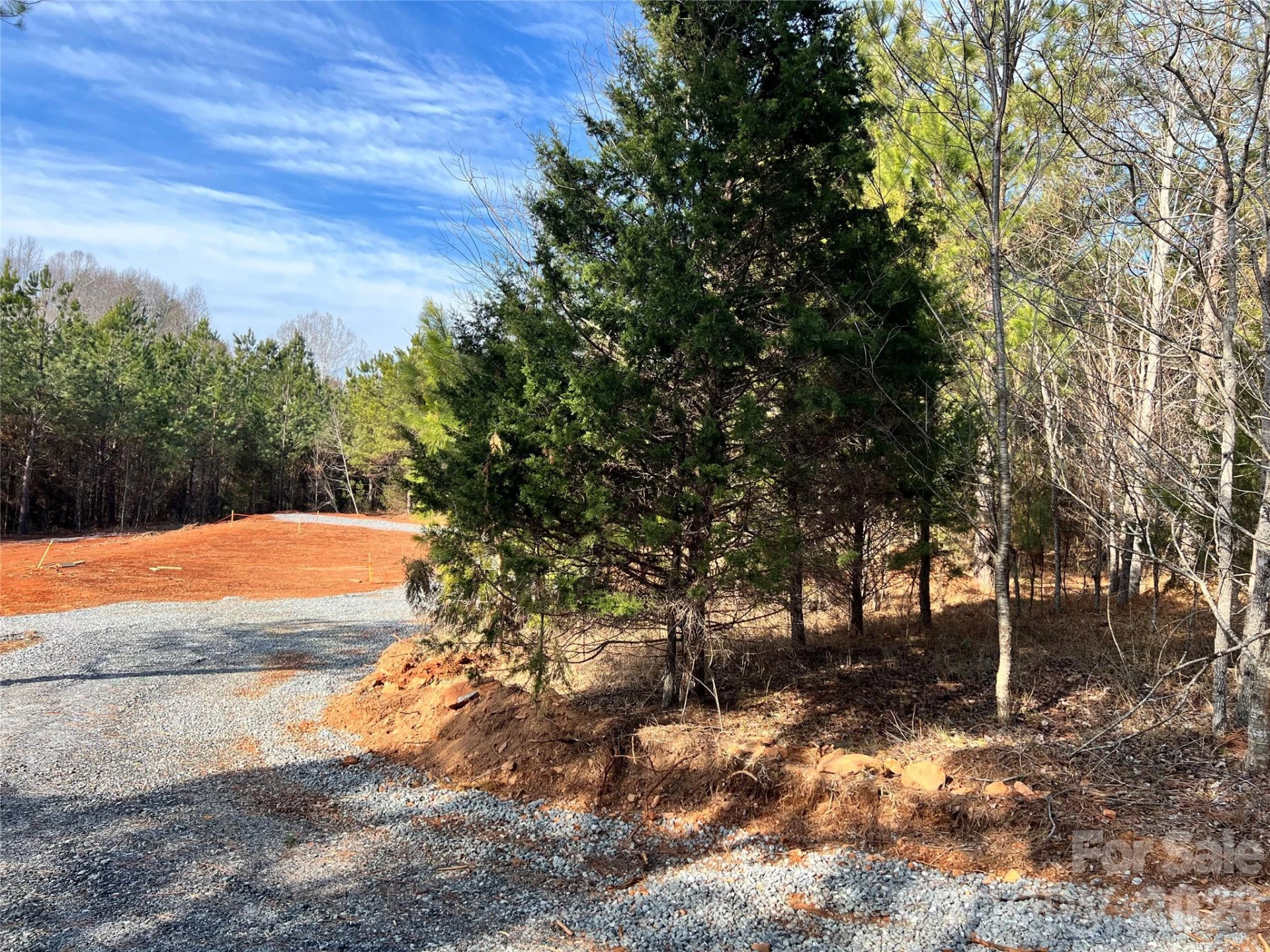 1229 Centennial Road - Photo 10
