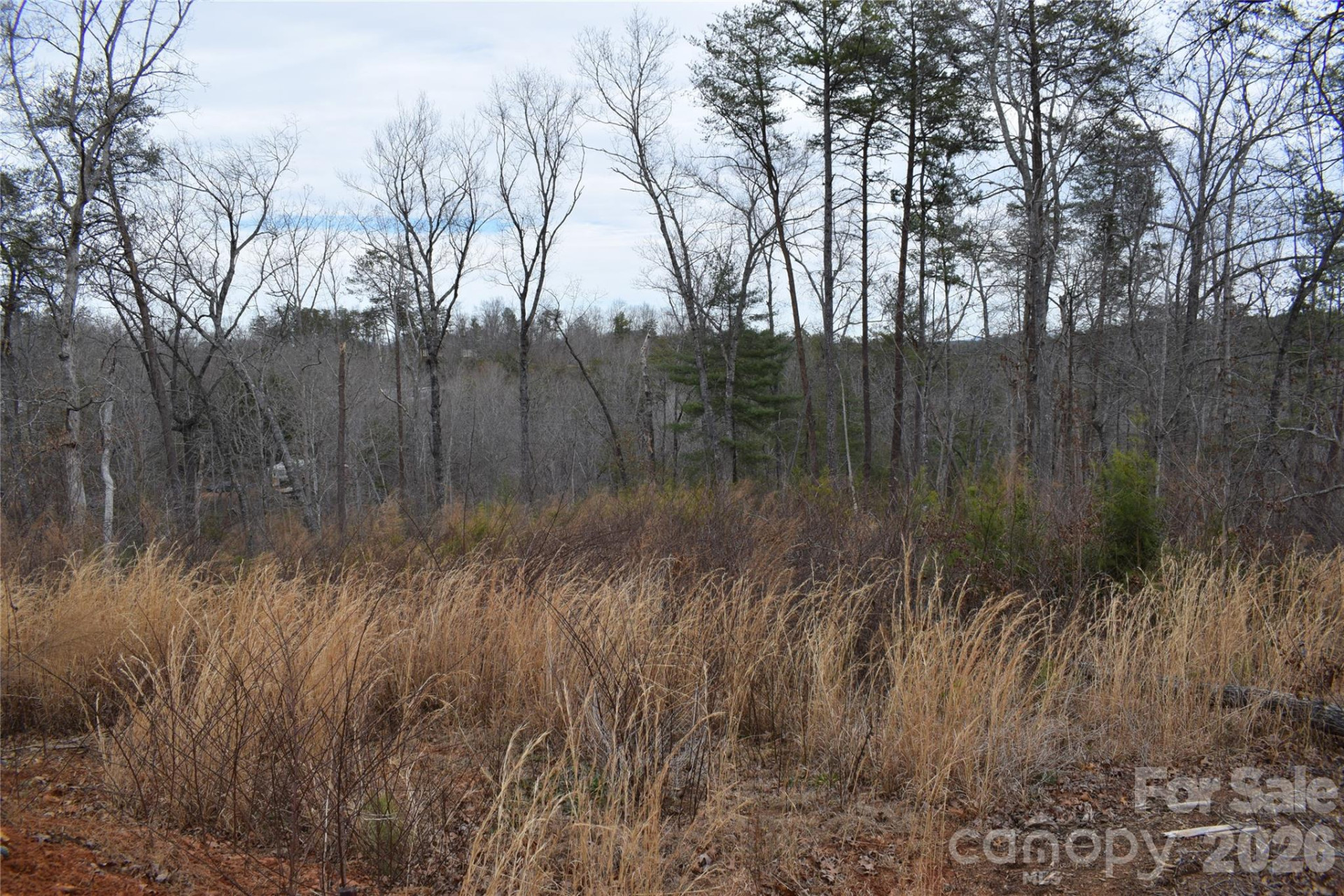 172 Winter Lane - Photo 11