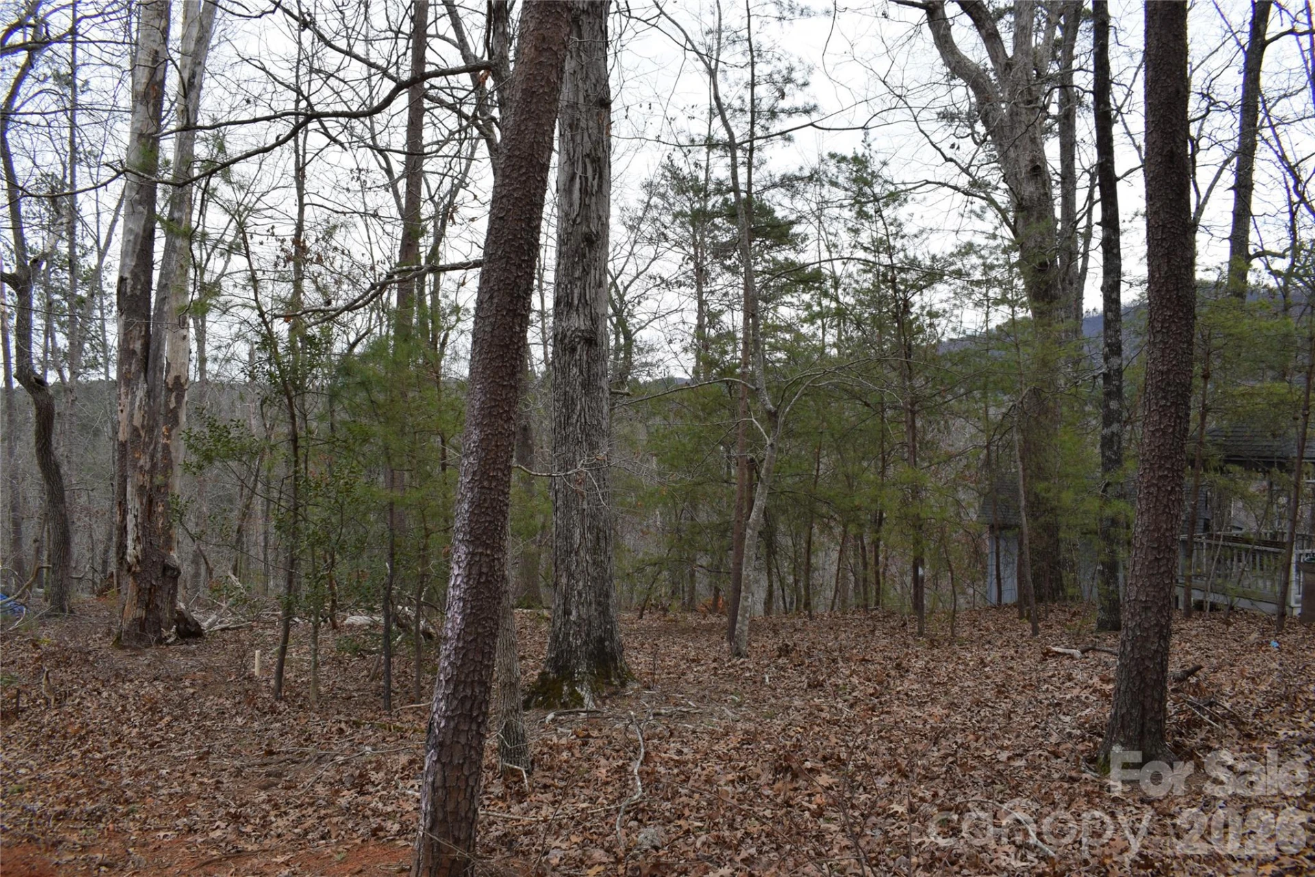 172 Winter Lane - Photo 16