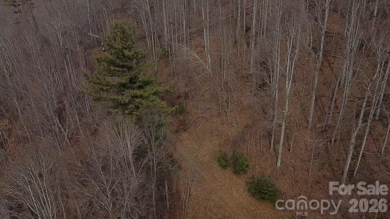 000 Wild Turkey Pen Road - Photo 11