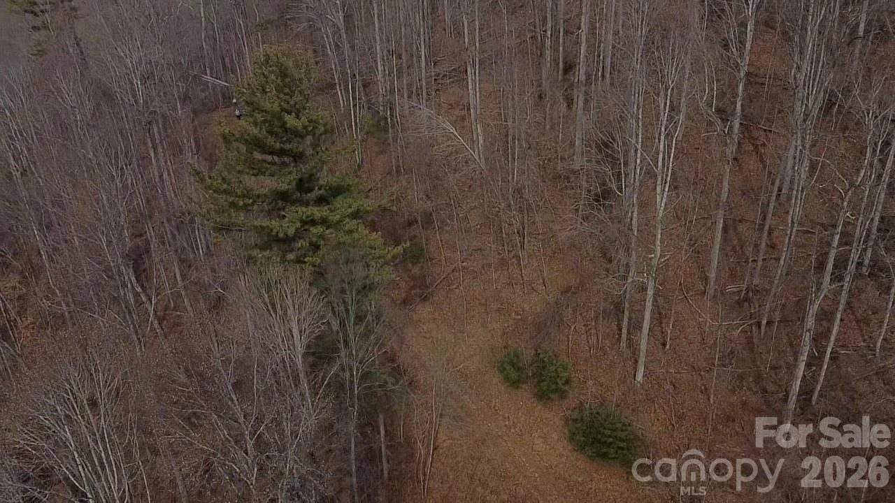 000 Wild Turkey Pen Road - Photo 11
