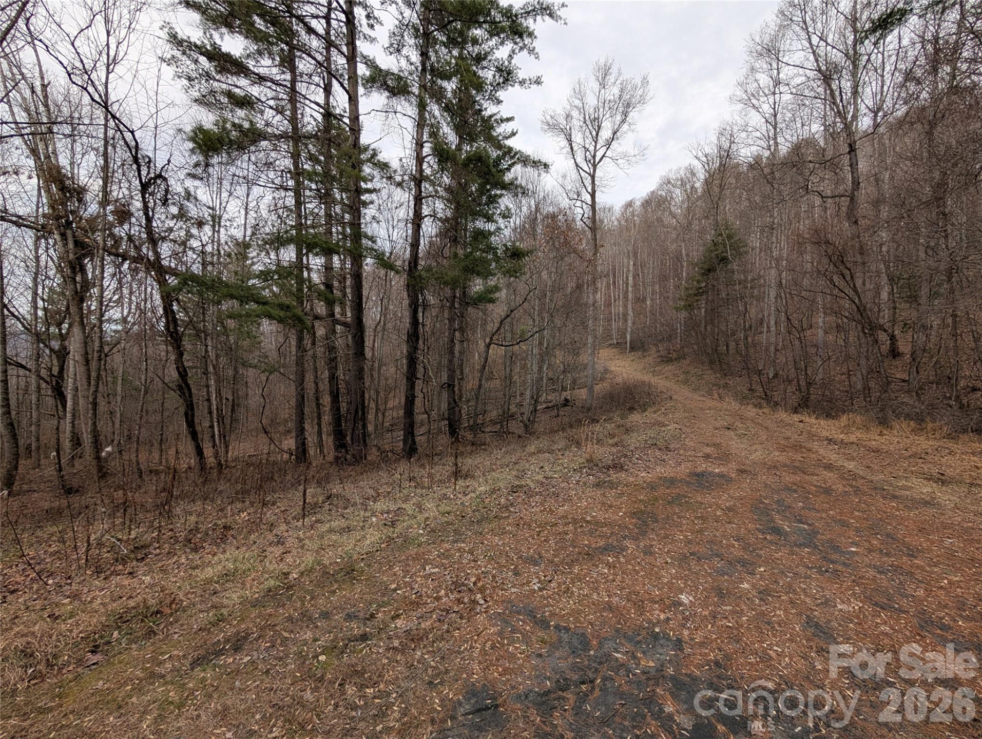 000 Wild Turkey Pen Road - Photo 4