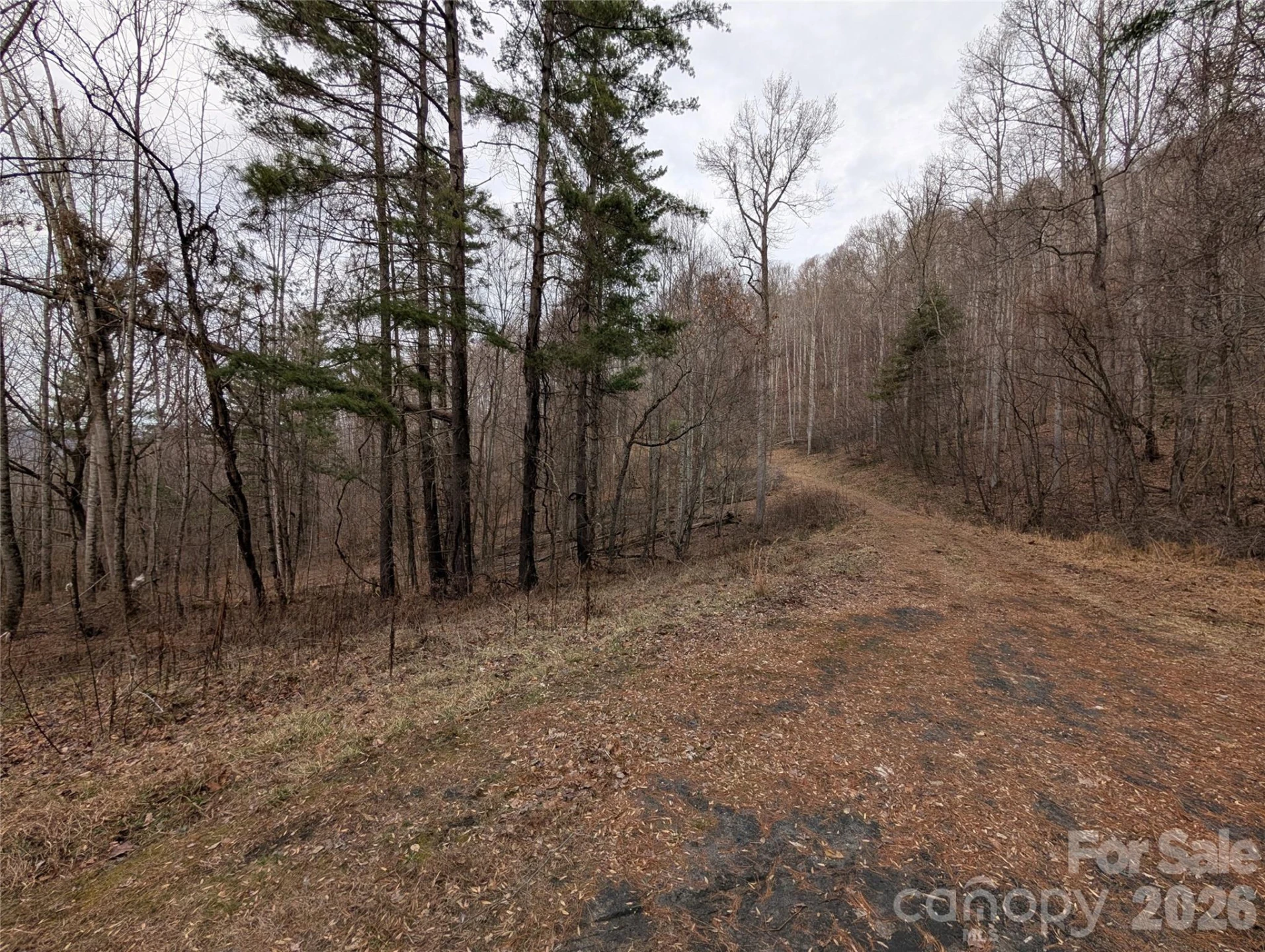 000 Wild Turkey Pen Road - Photo 4