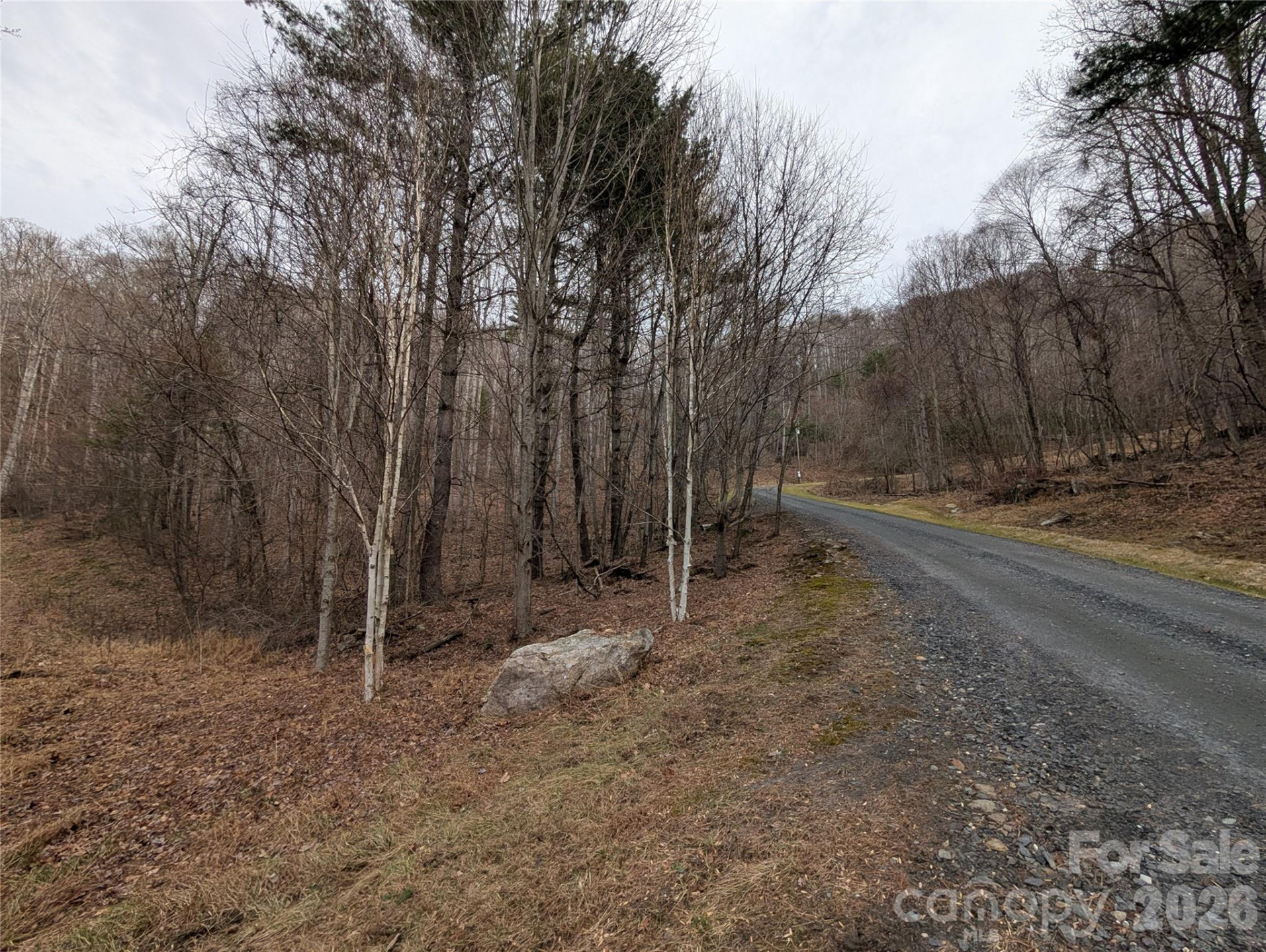 000 Wild Turkey Pen Road - Photo 5