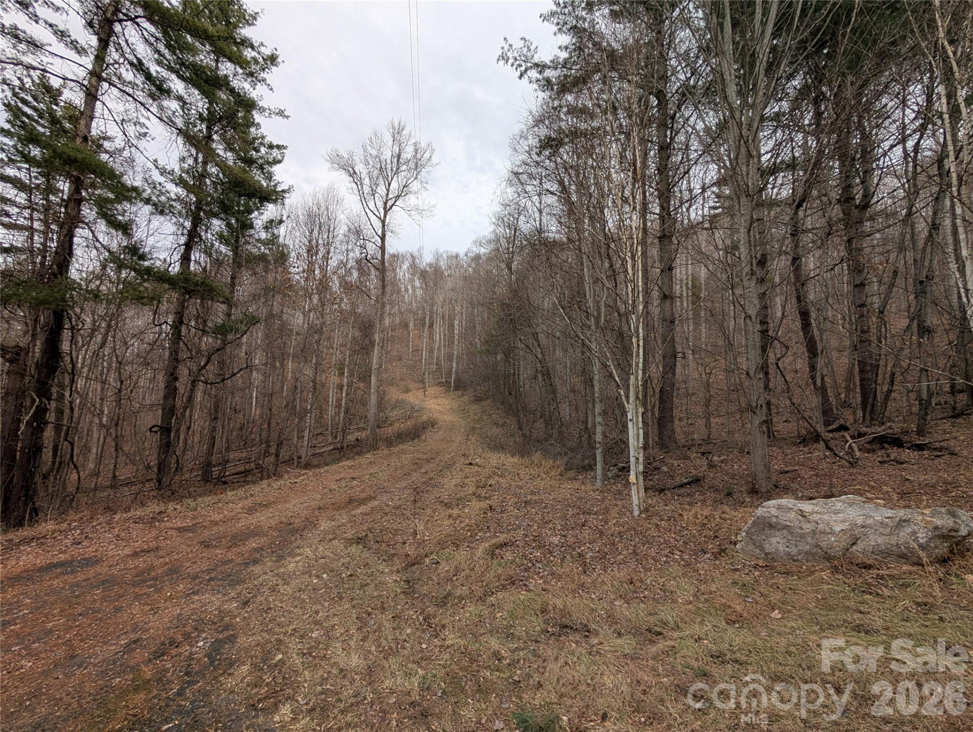 000 Wild Turkey Pen Road - Photo 6