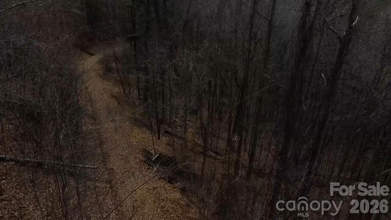 000 Wild Turkey Pen Road - Photo 7