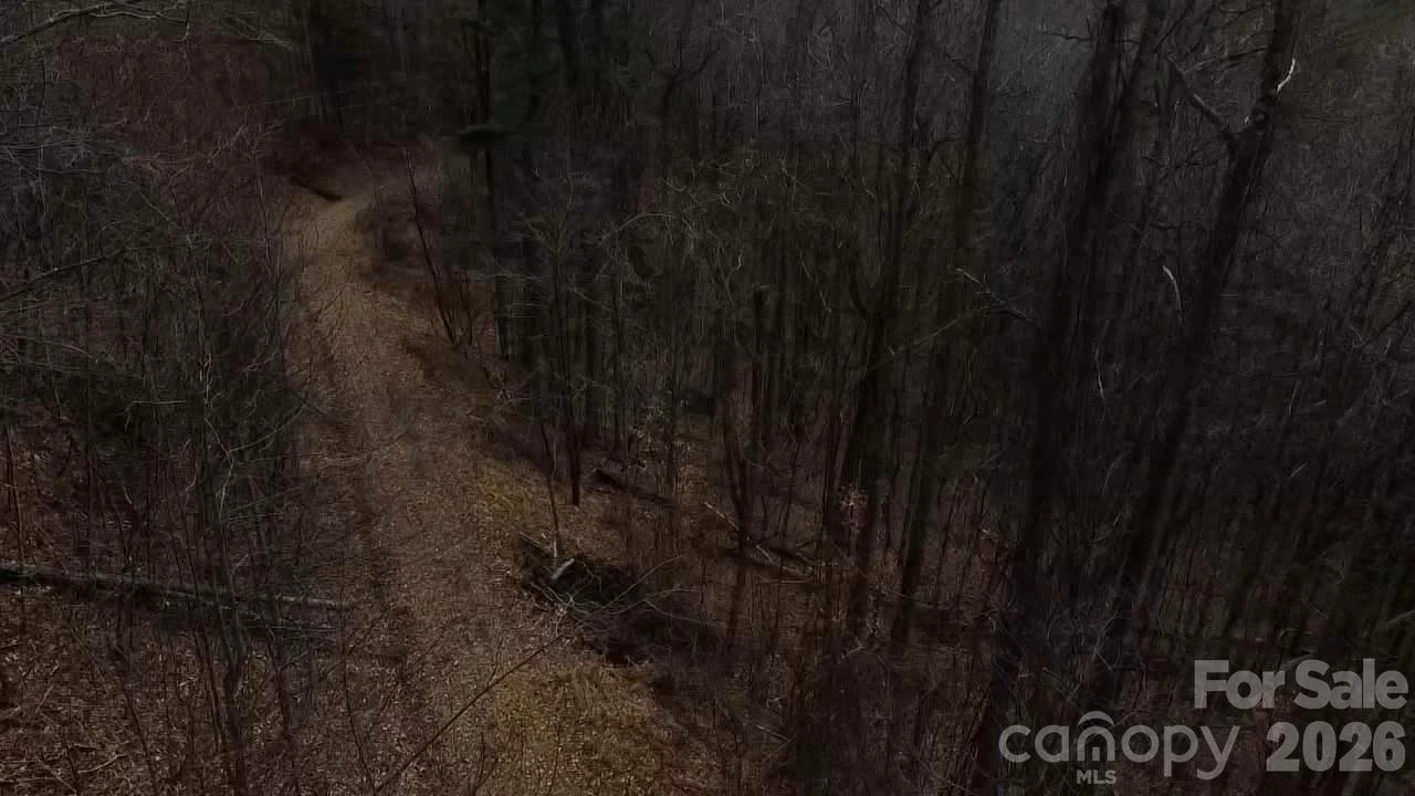 000 Wild Turkey Pen Road - Photo 7