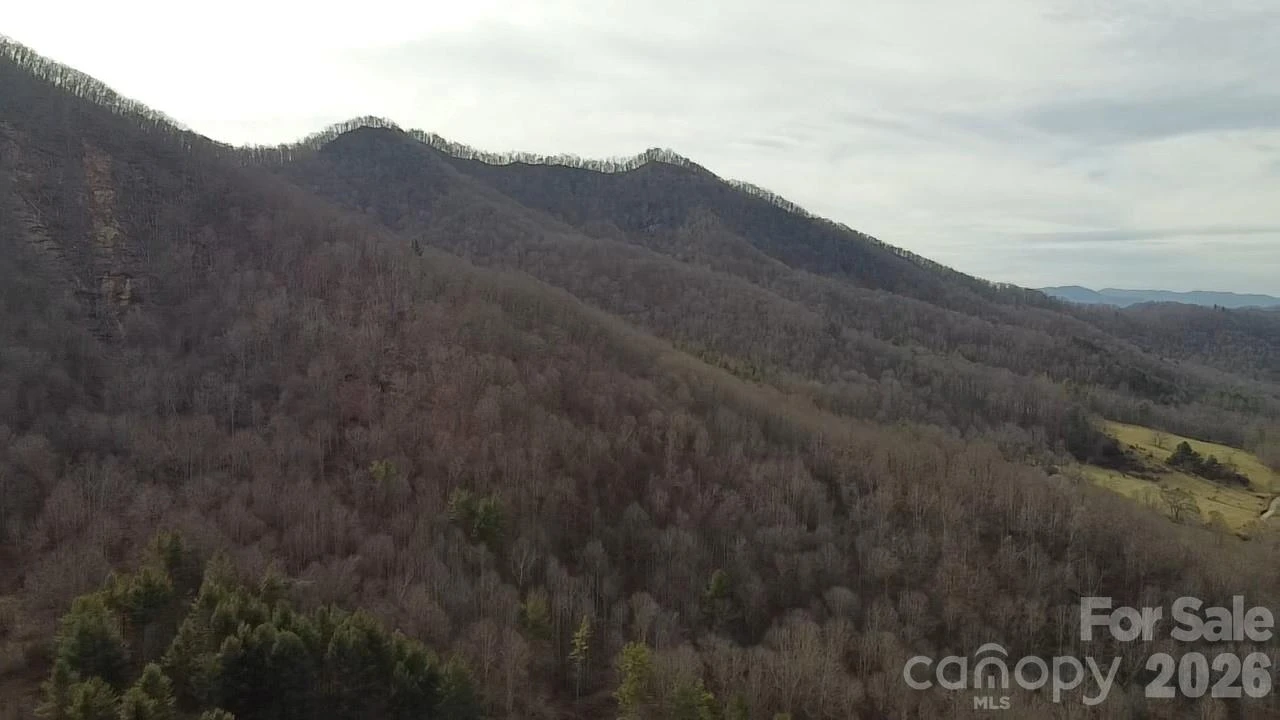 000 Wild Turkey Pen Road - Photo 8