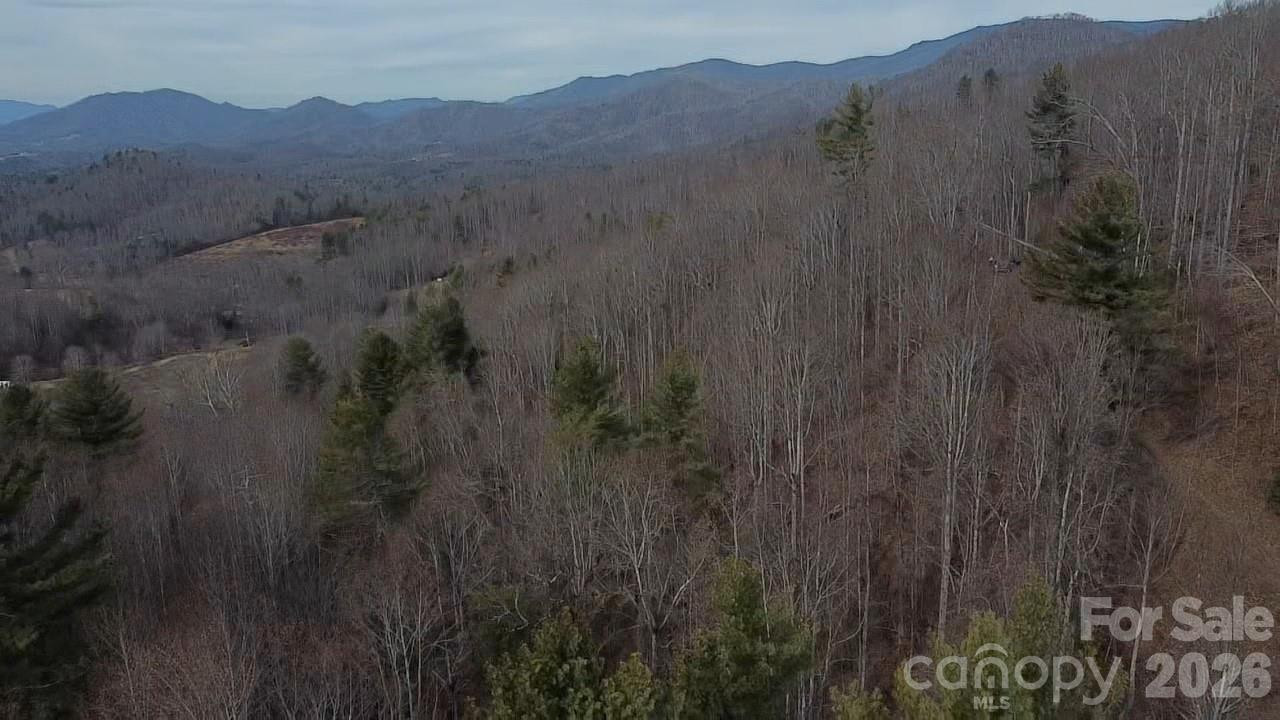 000 Wild Turkey Pen Road - Photo 9