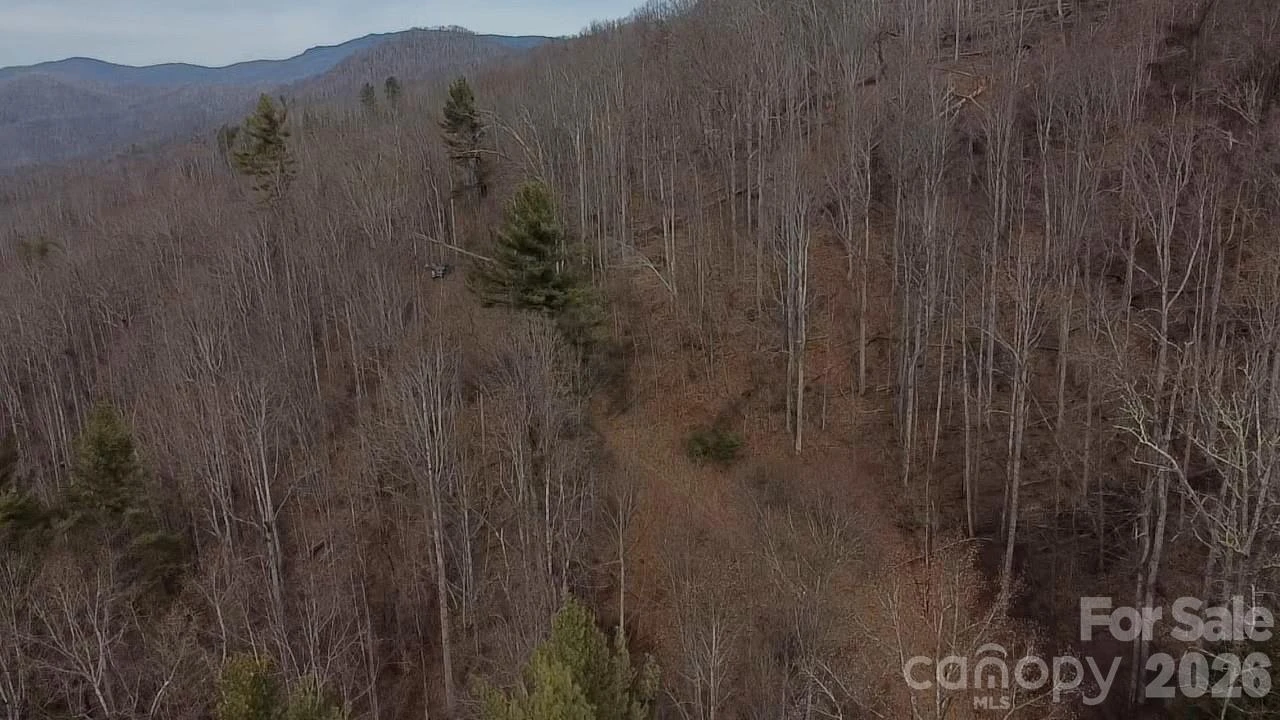 000 Wild Turkey Pen Road - Photo 10