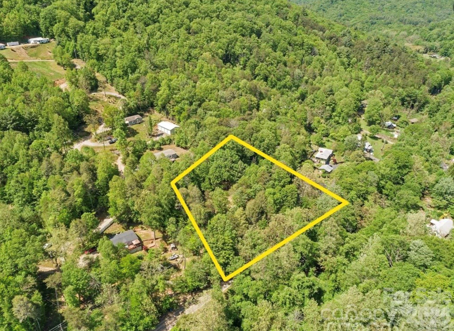 1127 Bee Tree Road - Photo 2