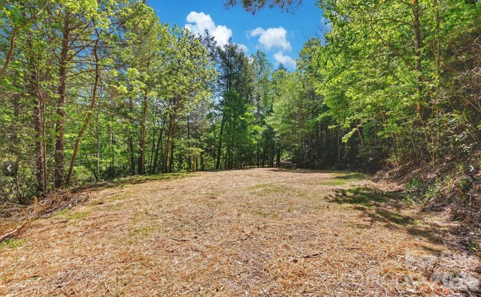 1127 Bee Tree Road - Photo 3
