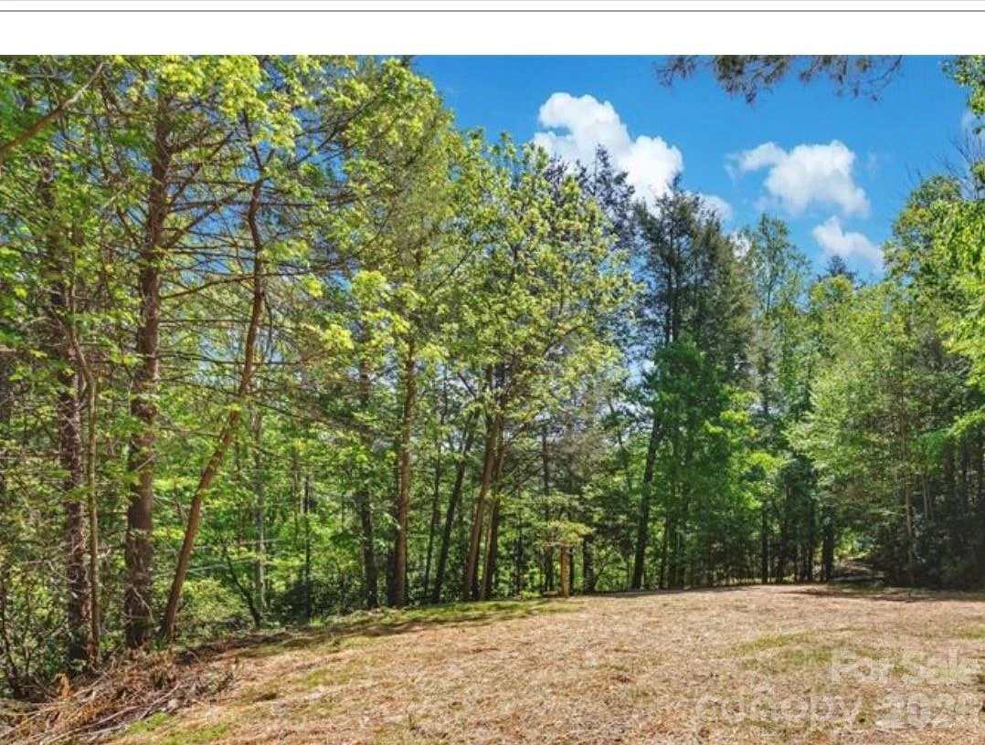 1127 Bee Tree Road - Photo 4