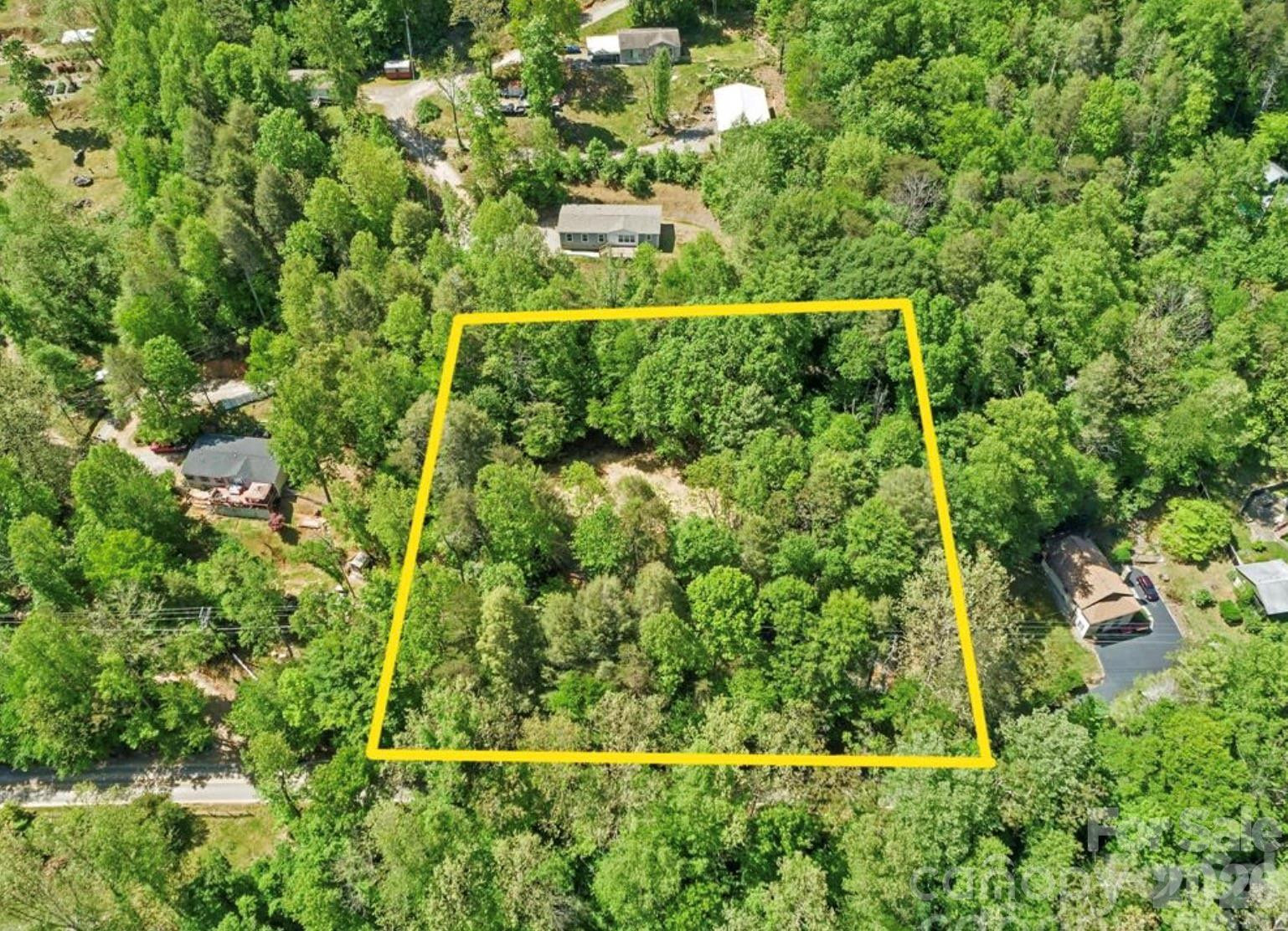 1127 Bee Tree Road - Photo 6