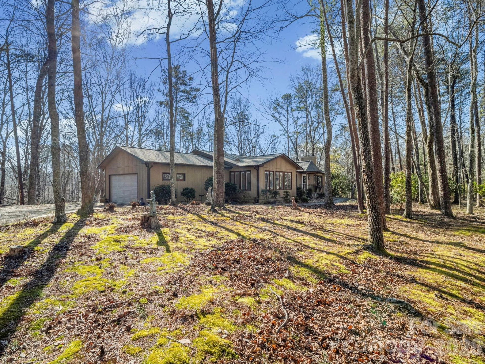 423 Mountain View Drive - Photo 2