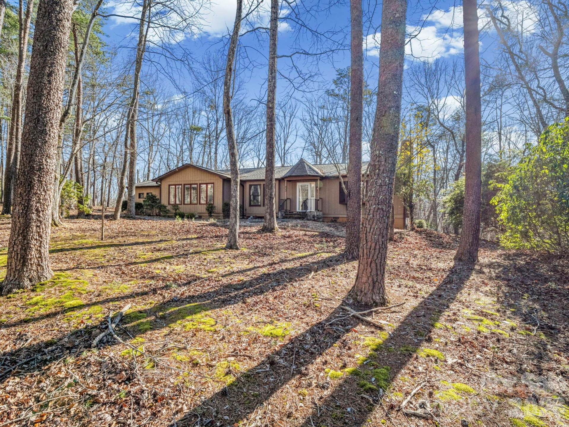 423 Mountain View Drive - Photo 4