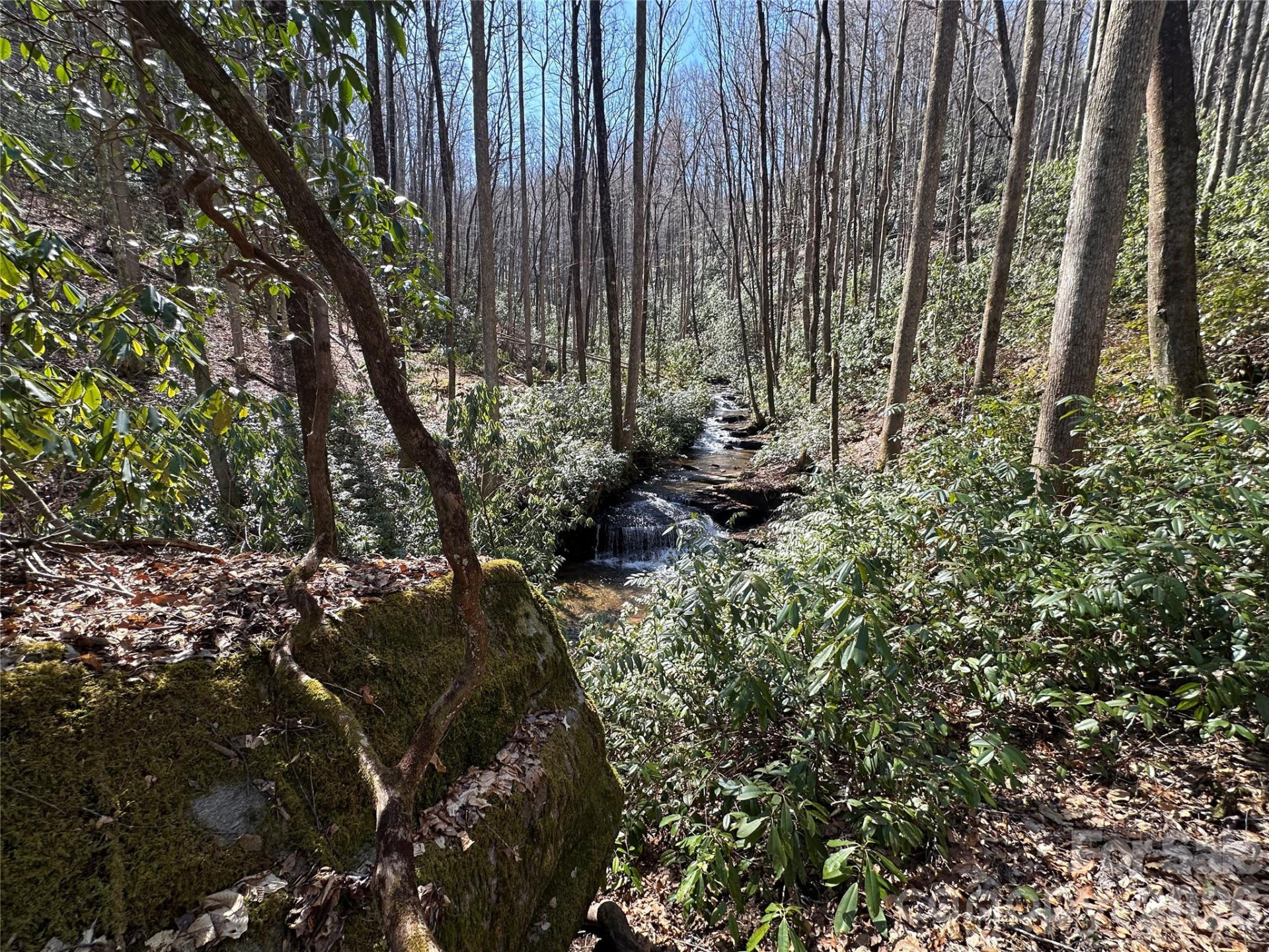 361 Rooster Cove - Photo 11